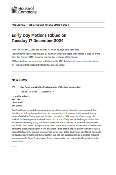 Image representing the document